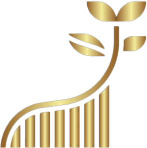 پدیده تحول ساز (ریفما)